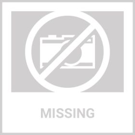 Foldable Charcoal BBQ Grill Stainless Steel Grill Net Easy Setup Portable Tabletop Barbecue Grill For Camping Picnic Outdoor Party (Option: AS PIC)